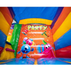 Party Slide  Springkasteel