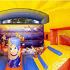 Mini Multifun Seaworld springkasteel