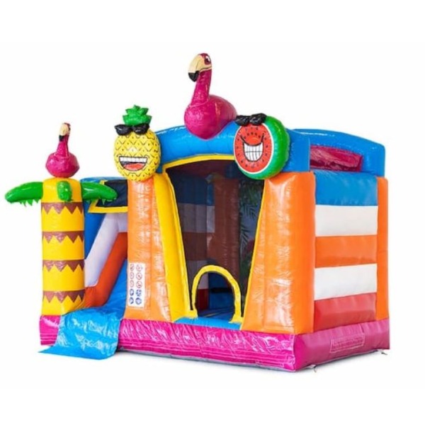 Flamingo Slide springkasteel