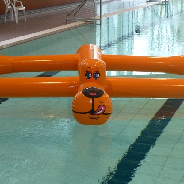 huur deze aquadog bij attraxi